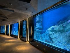 -渔火·特色餐厅(佘山世茂洲际酒店)