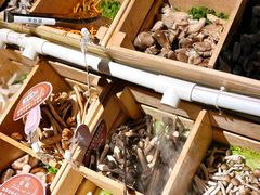 -温野菜涮涮锅(西单大悦城店)