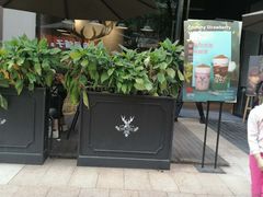 门面-THE ALLEY 鹿角巷(时代天街A馆店)