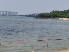 -瑶湖郊野森林公园