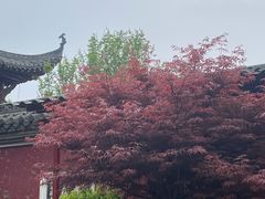 -长春观