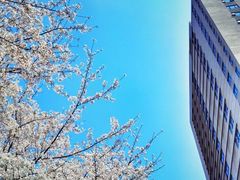 -上海交通大学医学院附属瑞金医院(总院)