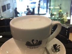咖啡-BLACKSWAN黑天鹅(环球店)