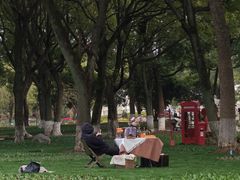 -上海鲜花港