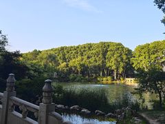 -河南省黄河迎宾馆