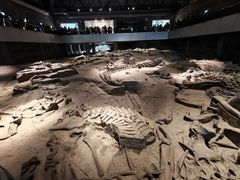 -自贡恐龙博物馆