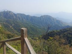 -大岭沟猕猴桃谷风景区