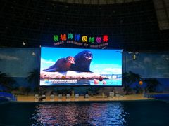 -泉城欧乐堡海洋极地世界
