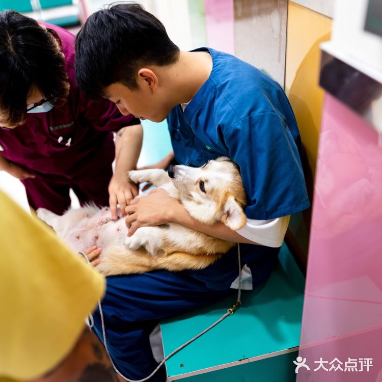 苏州探店｜24H 宠物医院🏥