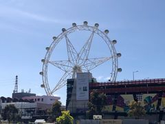 -墨尔本之星 观景摩天轮