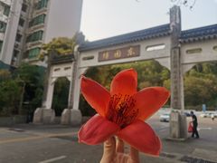 -深圳国际园林花卉博览园
