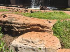 -海南热带野生动植物园