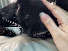 -雷鹰射击俱乐部