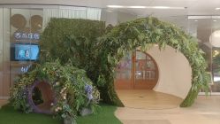 -西瓜庄园儿童摄影