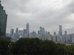 -丽晶轩中餐厅(重庆丽晶酒店)