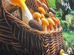 -聚汇坊椰子鸡·山野菌(环市东店)