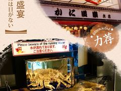-蟹道乐(道顿堀本店)
