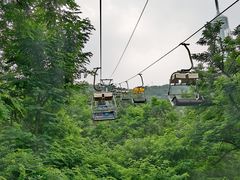 -富斯特索道