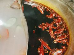 -小龙坎火锅(总店)
