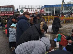 -中环花鸟鱼虫市场