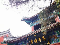 -洛阳白马寺