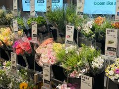 -鹿岛生活(熙地港店)
