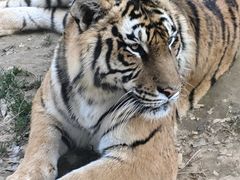 -栾川竹海野生动物园