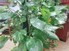 -天和晟新京菜.水煮鱼.湘土菜(国展店)