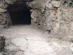 -上海佘山国家森林公园天马山园