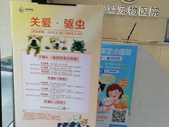 -关爱宠物医院·猫科中心·消化科(滨湖万达分院)
