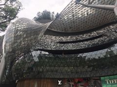 -爱雍·乌节