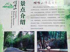 -广州市帽峰山景区