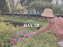 -黄村公园