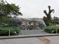 -张掖大佛寺景区