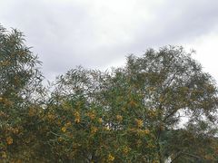 -福道