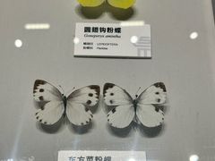 -四川大学博物馆