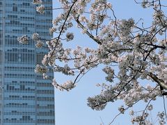 -静安雕塑公园
