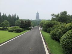 -宜兴龙背山森林公园