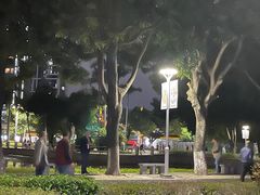 -金砂公园