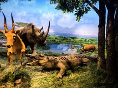 -国家自然博物馆