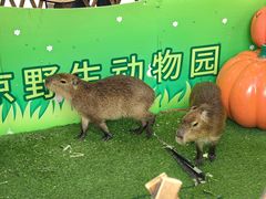 -北京展览馆