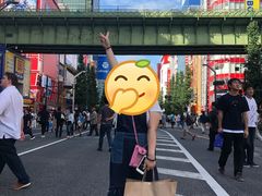 -秋叶原电器街