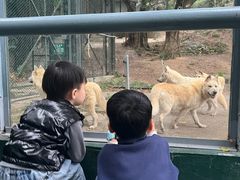 -深圳野生动物园