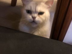 -建国328 本帮小馆·面馆