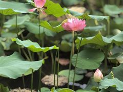 -木塔寺遗址生态公园