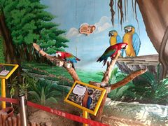 -辛玛王国游乐园