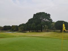 -旭宝高尔夫俱乐部