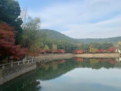 -湾里人家(旺山景区店)