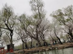 -颐和园