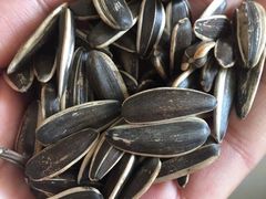 -苏老板炒货(万达店)